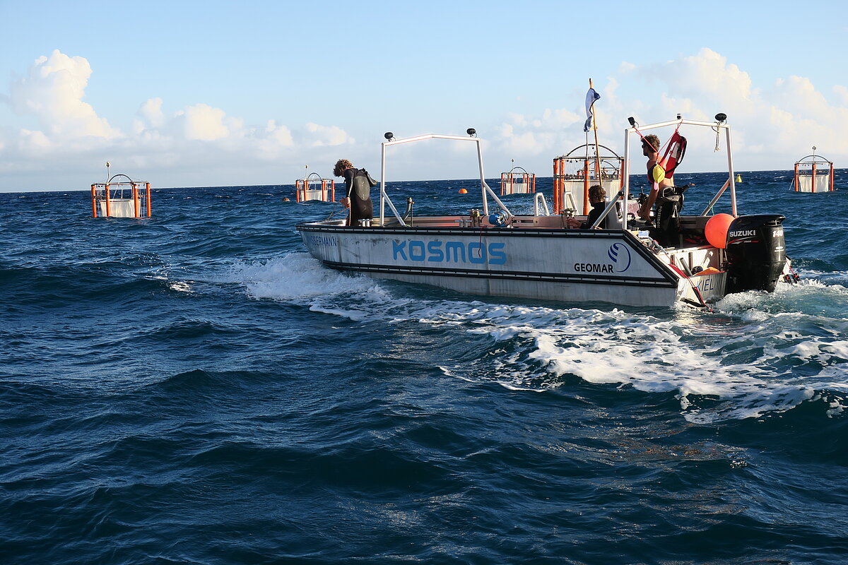 KOSMOS boat