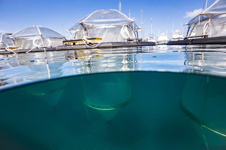 View above and under water, you can see foil domes and a long transparent hose under water